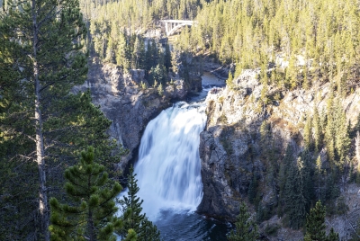 Upper Falls Yellowstone River 2024